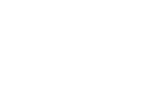 DialogSphere DSO